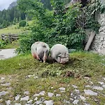 Familien-bauernhof Neumoar *