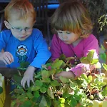 Familien-bauernhof Neumoar