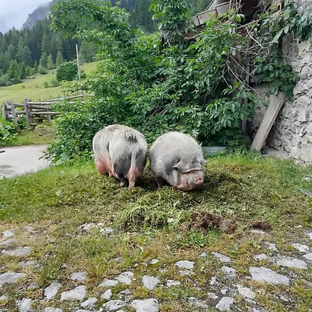 Familien-bauernhof Neumoar *