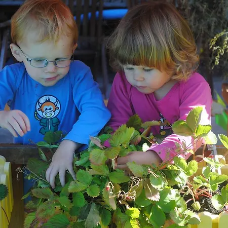 Familien-bauernhof Neumoar