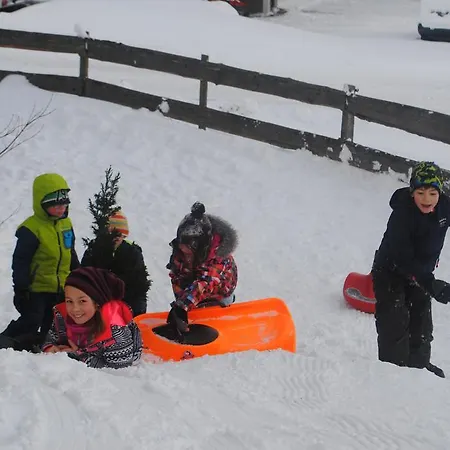 Familien-bauernhof Neumoar Apartament