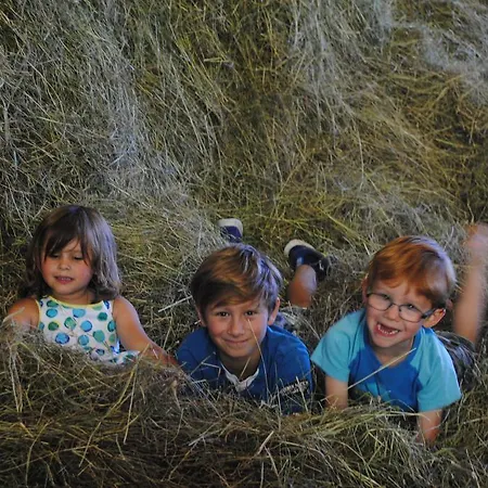 Apartament Familien-bauernhof Neumoar Sankt Johann im Pongau