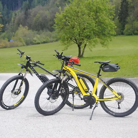 Familien-bauernhof Neumoar Apartment Sankt Johann im Pongau